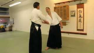 Aiki-Lab: Takemusu aiki compared to rigid forms