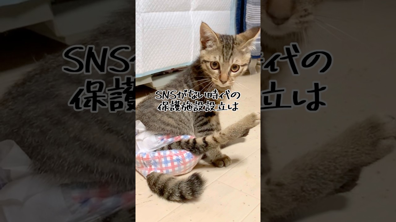 欲しかったのは「生きれる場所」動機はそれだけでした。