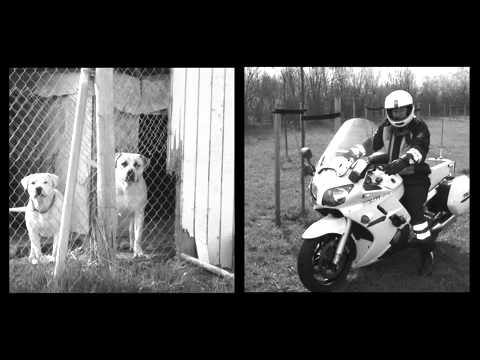 eaggerstunn - Morder Dem