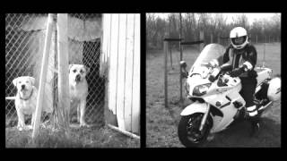 eaggerstunn - Morder Dem