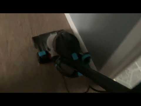 Blue Bissell Vacuum, Vacuuming the hallway (May 1, 2021)