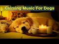 12 HOURS Of Relaxing Music For Dogs Anti Separation Anxiety Relief Deep Sleep Puppy Music