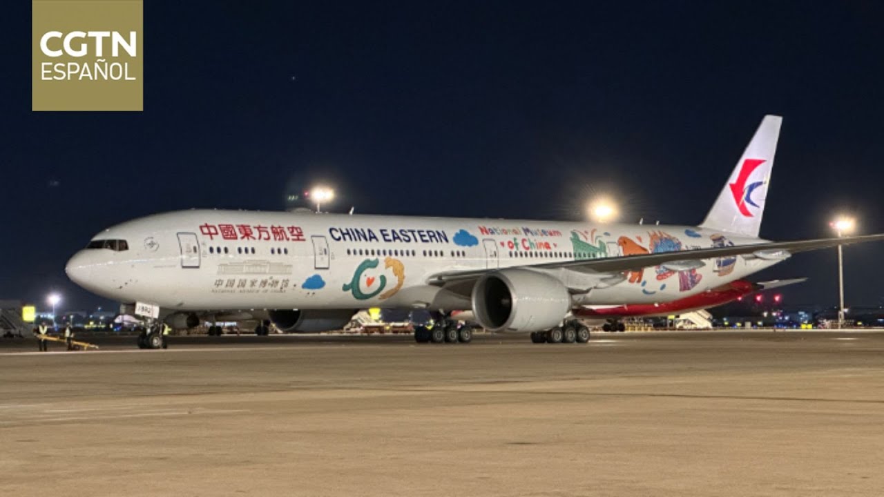 El vuelo directo más largo del mundo llegó a Buenos Aires