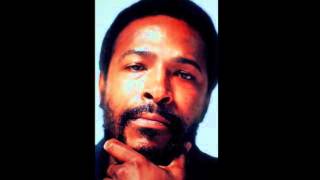 Marvin Gaye - What's Going On (Tamla Records Album Medley 1971)