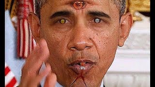 DEFECTOR OBAMA & THE FLY - CULT OF SUBUD