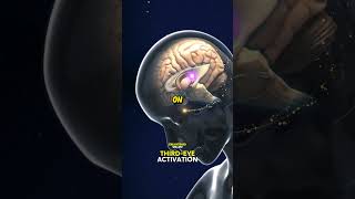 Download lagu AKTIFKAN MATA KETIGA ANDA dengan TEKNIK PERNAPASAN ini #kelenjarpineal #mataketiga #mataketiga #s... mp3 Download lagu AKTIFKAN MATA KETIGA ANDA dengan TEKNIK PERNAPASAN ini #kelenjarpineal #mataketiga #mataketiga #s... mp3