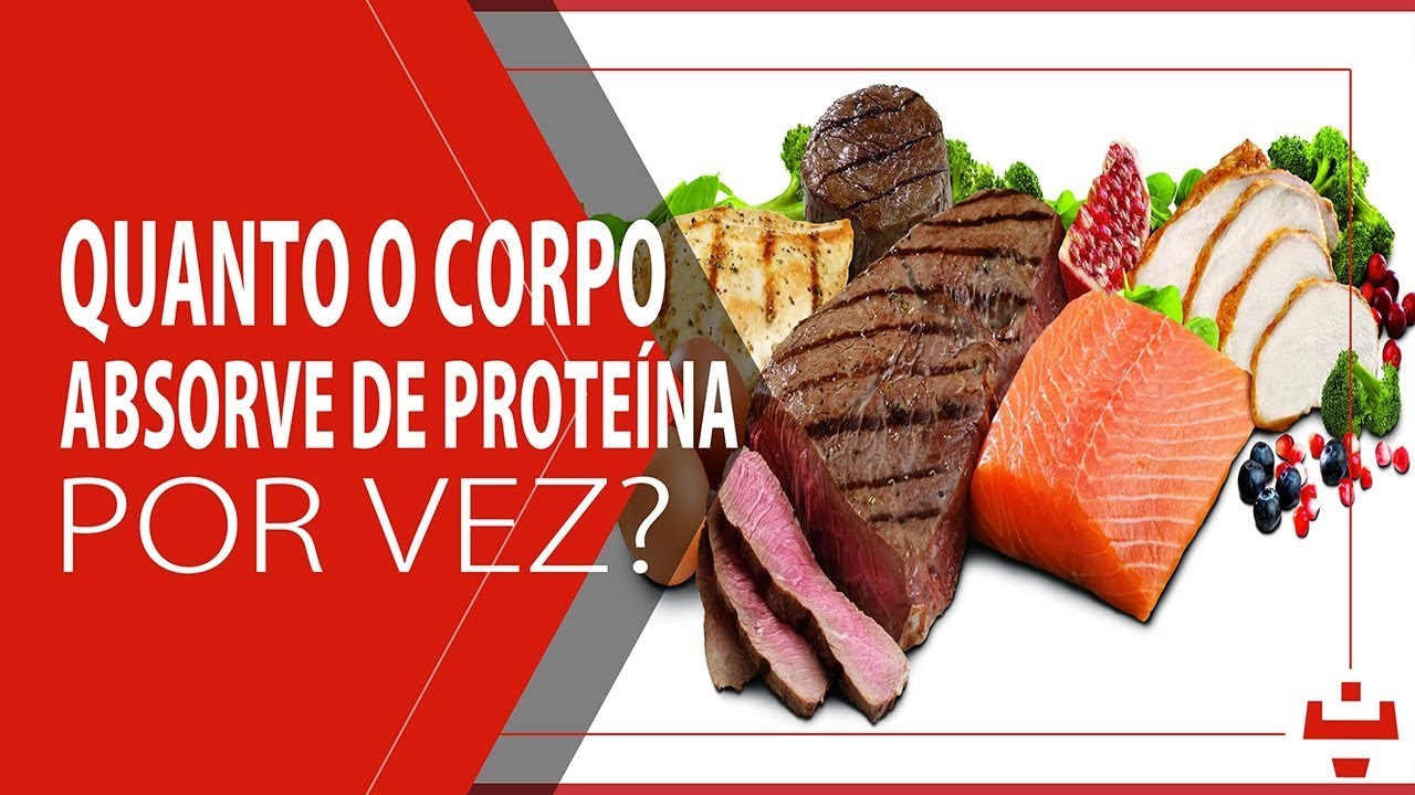 QUANTO O CORPO ABSORVE DE PROTEÍNA?