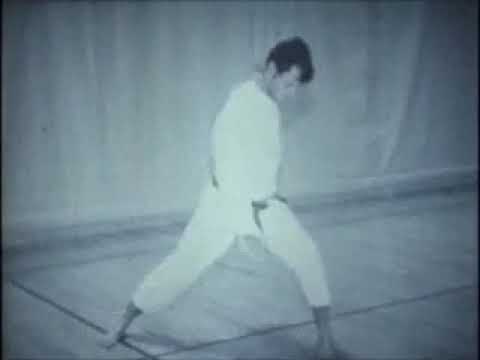 Shi Ho Hai – Brown Belt Rod Lindgren