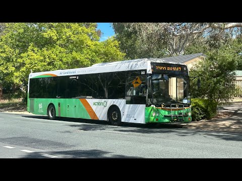 Loud ZF - Transport Canberra BUS 302 Irisbus Agoraline CB60