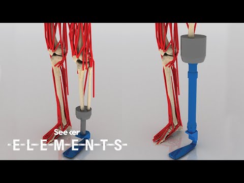 Why This Virtual Human Is Being Injured by Scientists