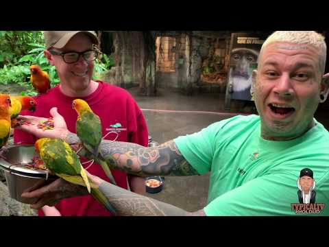 TypicalTV - Zookeeper for a day (CRAZY ANIMALS!)