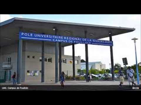 F O U I L L O L E - Hinnox; Faby