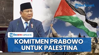 Komitmen Panjang Presiden Prabowo untuk Kemerdekaan Palestina: Solusi 2 Negara untuk Akhiri Perang