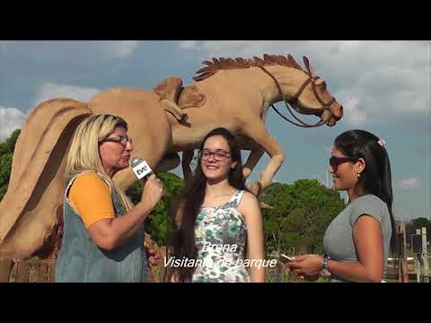 Chamada do programa Show da Terra ms com Rose Paiva.