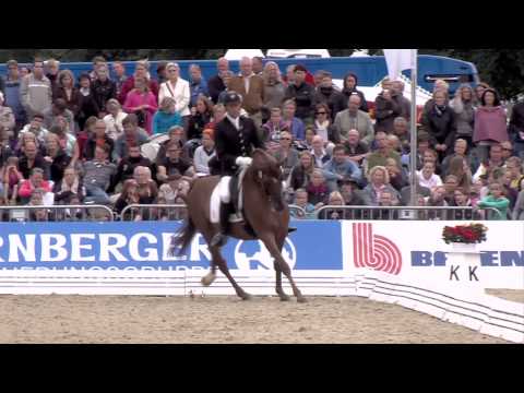 Dimaggio by Don Primero - World Cup / Böckmann Pferde 2015