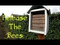 Releasing Spring Mason Bees Releasing Spring Mason Bees