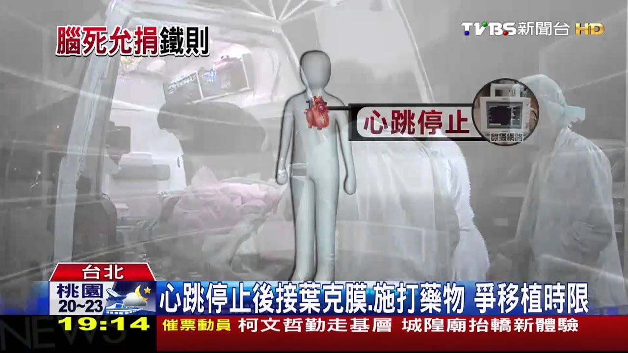 絕無活摘！　台大名醫：「捐贈者難判腦死才變通」