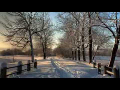 Mùa Đông nơi xa - Thiên Nga