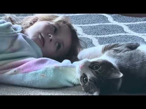 Lulu 6.5 yrs - Lulu and Simmy (Bubby) Cat