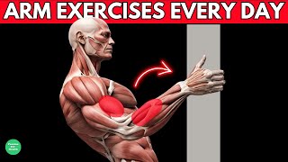12 Arm Exercises (No Equipment) Build Arms At Home