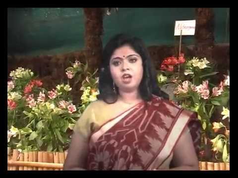 urmi songs 5
