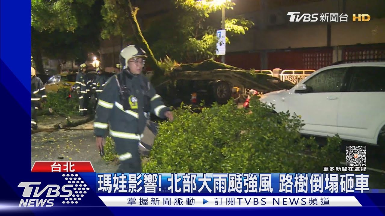 瑪娃影響!北部大雨樹倒塌砸車 南部颳強風鷹架砸屋頂