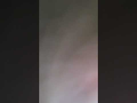 Petr Spálený - Dáma při těle. COVER P.D.OSTRAVA.