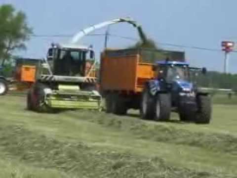 Ketels: Gras hakselen.