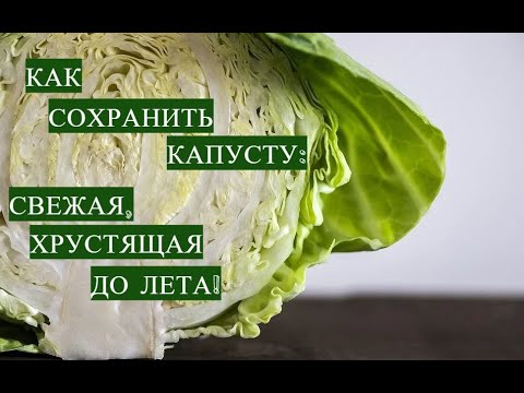 Всю зиму будто только с грядки! Как сохранить капусту на зиму до лета!