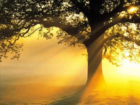 Jeddak (& Achilles Band) - Křečový žíly (Achilles 1994)