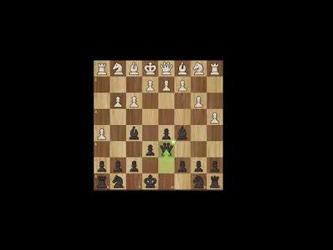 Typical 500 Chess match ( Baka Mitai )