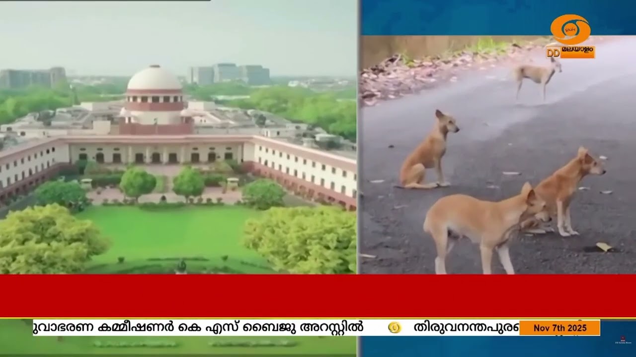 തെരുവുനായ പ്രശ്നത്തിൽ സുപ്രധാന ഉത്തരവുമായി സുപ്രീ?