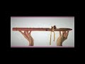 Coyote Oldman - 'Dignity'  Indian Flute