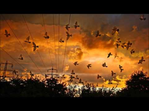 LoQuai - High Voltage (Original Mix)