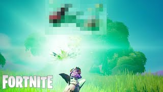 ニワトリからとんでもないもの出てきたからじっくり観察してみた【フォートナイト】FORTNITE