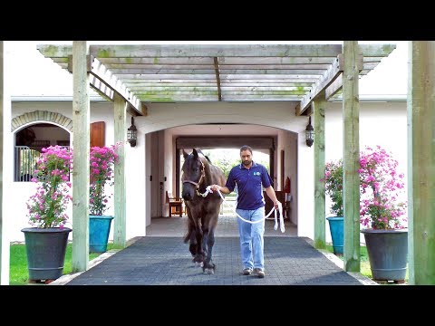 A Day in the Life of Patrick at Wellington FL 2018