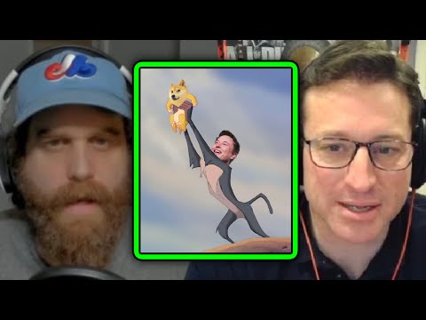 The Rise and Fall of GameStop and Dogecoin | PKA & Harley Morenstein