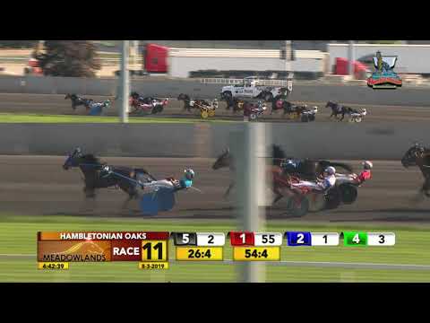 HAMBLETONIAN OAKS - RACE 11 - August 3, 2019