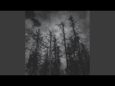 CICATRIZES QUE NINGUÉM VÊ