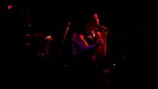 Little Dragon-Blinking Pigs