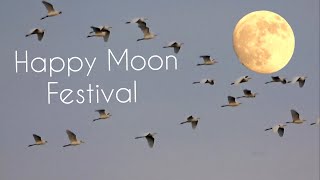 Happy Moon Festival🥮中秋節快樂♥️平安👍健康👍Mid-Autumn Festival🌕保佑台灣🙏