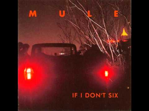 Obion - Mule