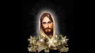 Featherlight "Rot away" 2012