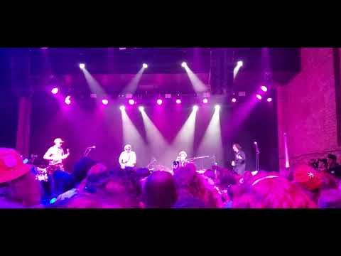 Will Wood Halloween - Against the Kitchen Floor