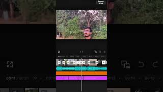 Capcut tutorial and timeline