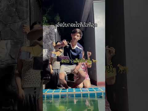 ใครตอบคำถามไม่ได้ โทรศัพท์ตก ร่วงลงน้ำสีเขียวแน่