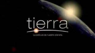 Video Prueba