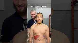 Download lagu Where To Punch In Fights #streetfighter #fight #martialarts #boxing mp3 Download lagu Where To Punch In Fights #streetfighter #fight #martialarts #boxing mp3