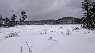 preview picture of video 'Stewart Lake Trail & Camelhump mountain Bushwhack, snowshoeing Shaker Lake Wild Forest'