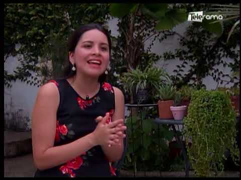 Cuidado de plantas en la lluvia